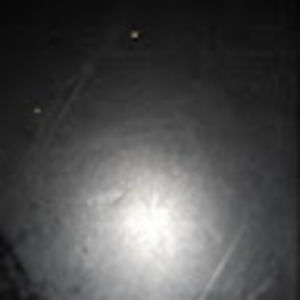 Meet your Posher, Joselyn